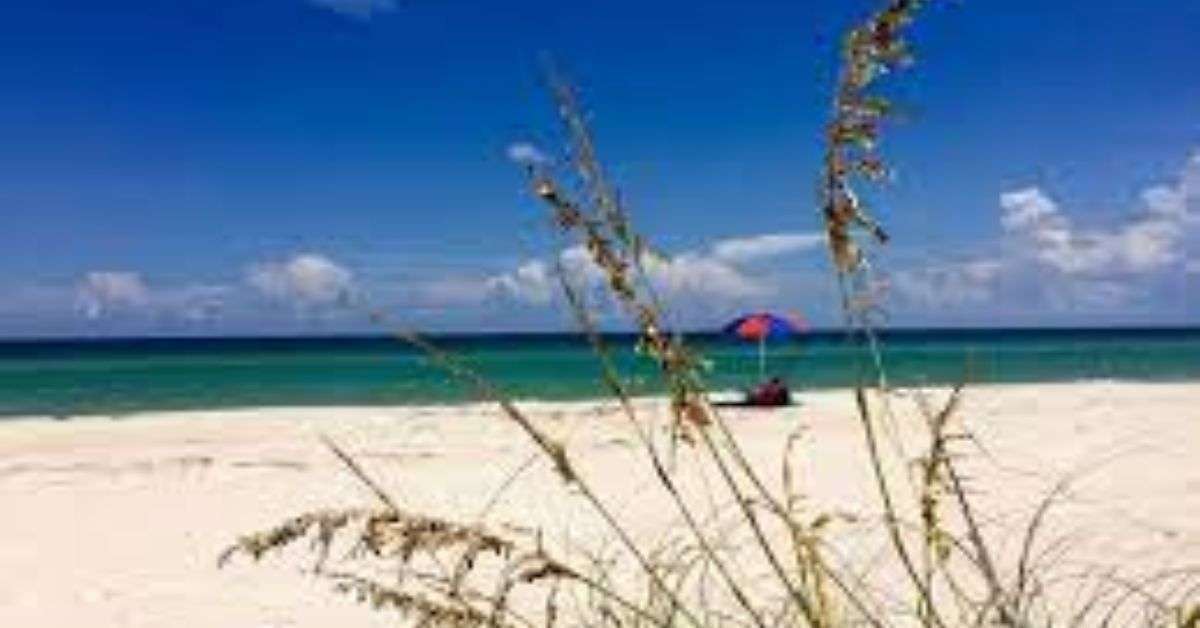 Salt Air St George Island Office in Florida