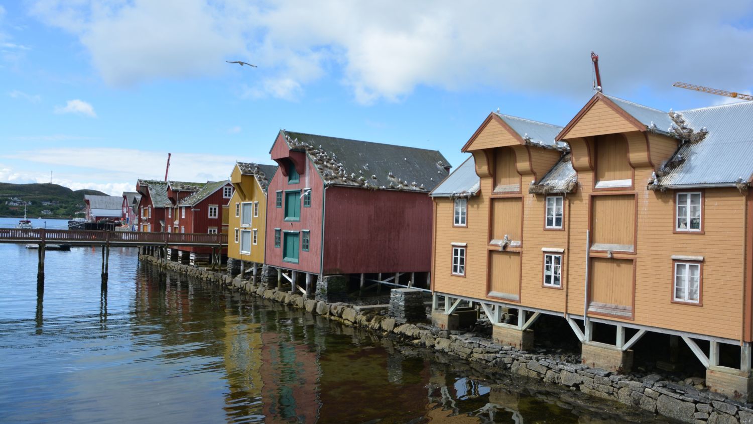 Widerøe Airlines Rorvik Office in Norway
